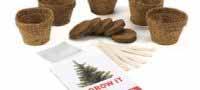 Grow Your Own Christmas Tree