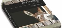 Adopting a Donkey