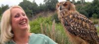 Falconry Leicestershire