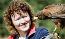 Falconry in Leicestershire