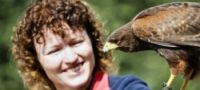 Falconry Leicestershire
