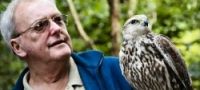 Falconry Hunting Leicestershire