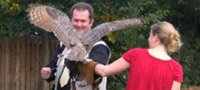 Hawking Day Derbyshire