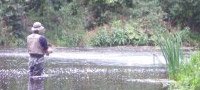 Introduction to Fly Fishing