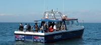 Deep Sea Fishing Brighton