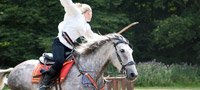 Horse Combat Experience Day