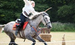 Horse Combat Experience Day