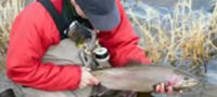 Fly Fishing South Yorkshire
