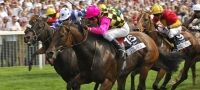 Go Horse Racing