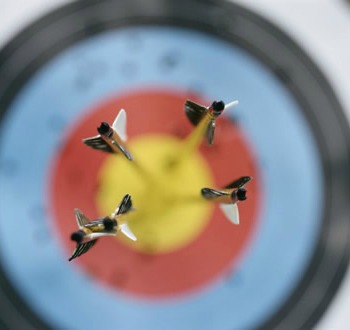 Archery Sussex