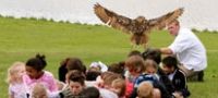 Kids Hawking East Kent