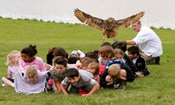 Kids Hawking East Kent