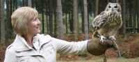 Falconry Nottingham