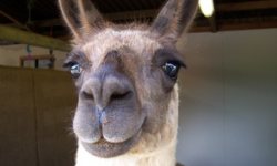 Wildlife Experience in West Sussex