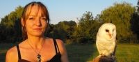 Falconry Course Suffolk