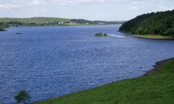 Loch Fishing Scotland