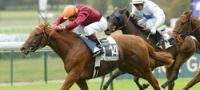 Day At The Races