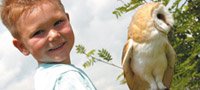 Owl Experience East Sussex