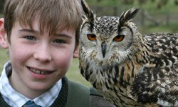 Falconry Tasters Scotland