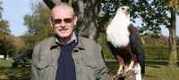 Half Day Bird of Prey Activity