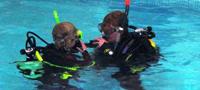 Scuba Diving for Kids