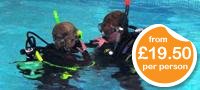 Scuba Diving for Kids