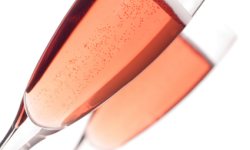 Wine Tasting & Vineyard Tours