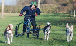 Husky Rides Gloucestershire