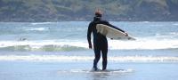 Surf