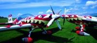 Ultimate Top Gun Aerobatic Experience