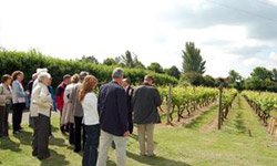 Vineyard Tour and Tasting Nationwide