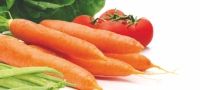 Grow Your Own Vegetable Patch