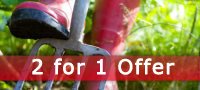 Vegetable Gardening Course