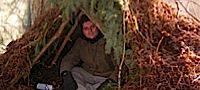 Woodland Ways Weekend 