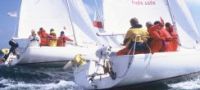 Yacht Racing in Brighton