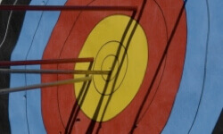 Mum could be shooting arrows for just £20