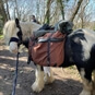 Pack Pony Adventure in Dorset 