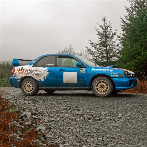 Forest Fury Rally Ride Experience Forest Fury Rally Ride Experience