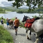 Packhorse Picnic Adventure Lake District - Horse Trekking with picnic