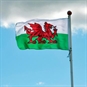 Cardiff Day Trip Welsh Flag