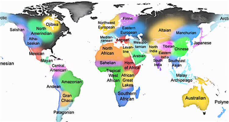 what is ancestry dna testing and how does it work ancestry dna how it works