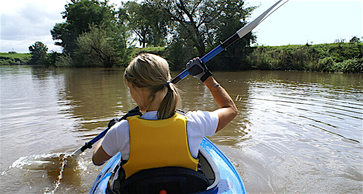 kayak paddle