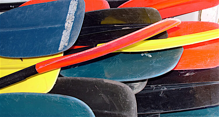 canoe and kayak paddles