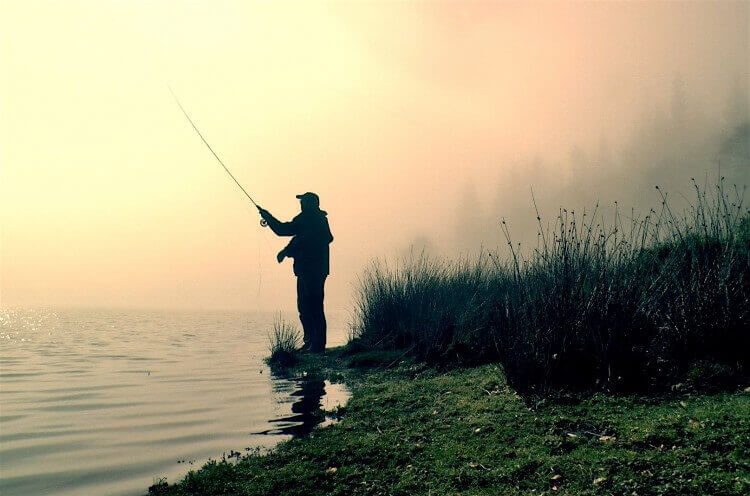 Fishing in the UK