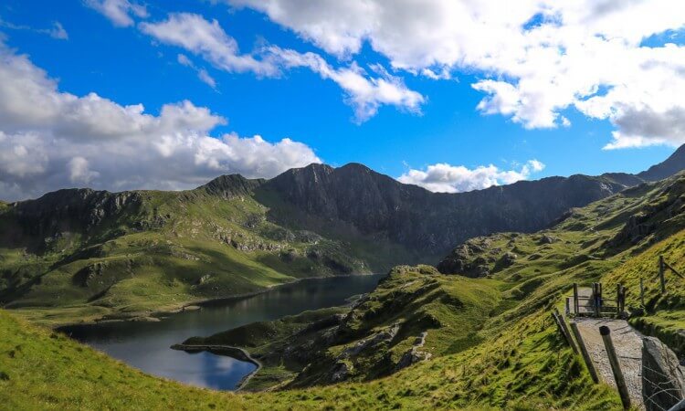 the pyg track