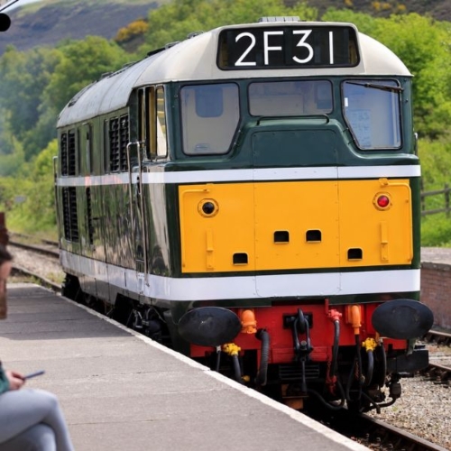 The Watercress Line Diesel Train Driving Experiences