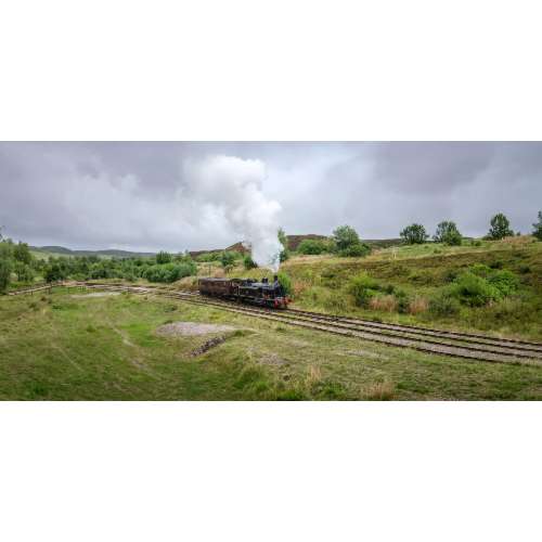 Train Trips