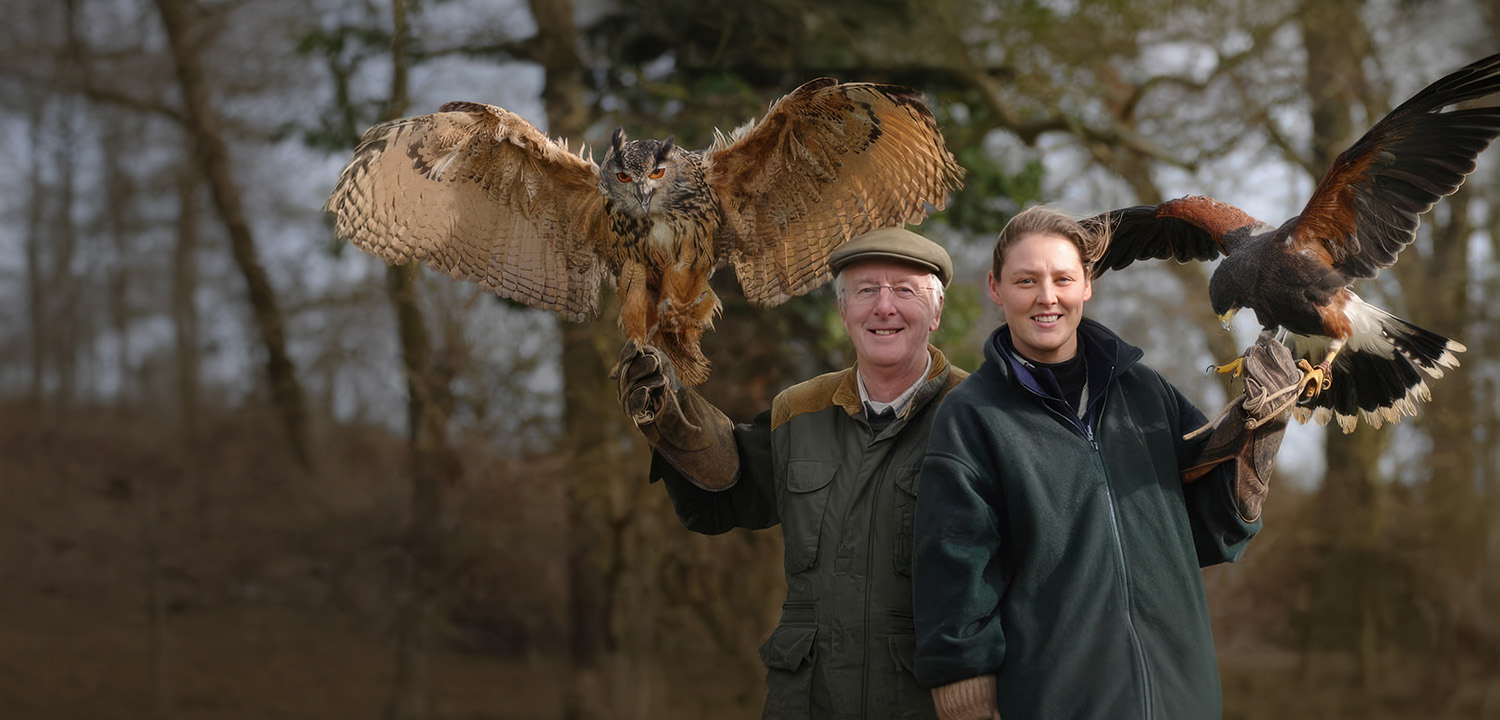 Falconry in Warwick-image-4228