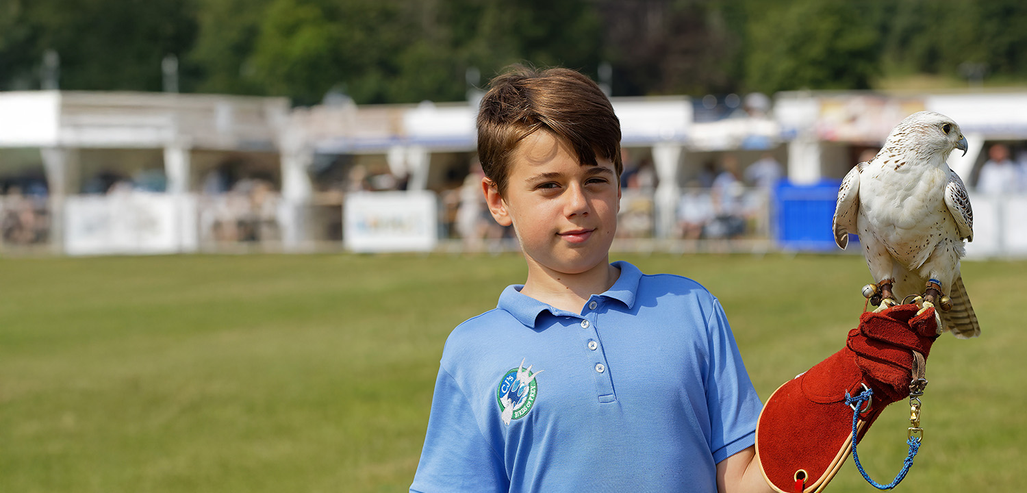 Birds of Prey Hertfordshire Prices From