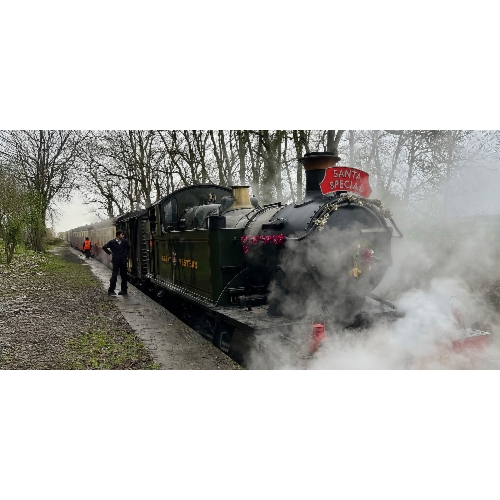 Santa Paws Steam Train - from 12